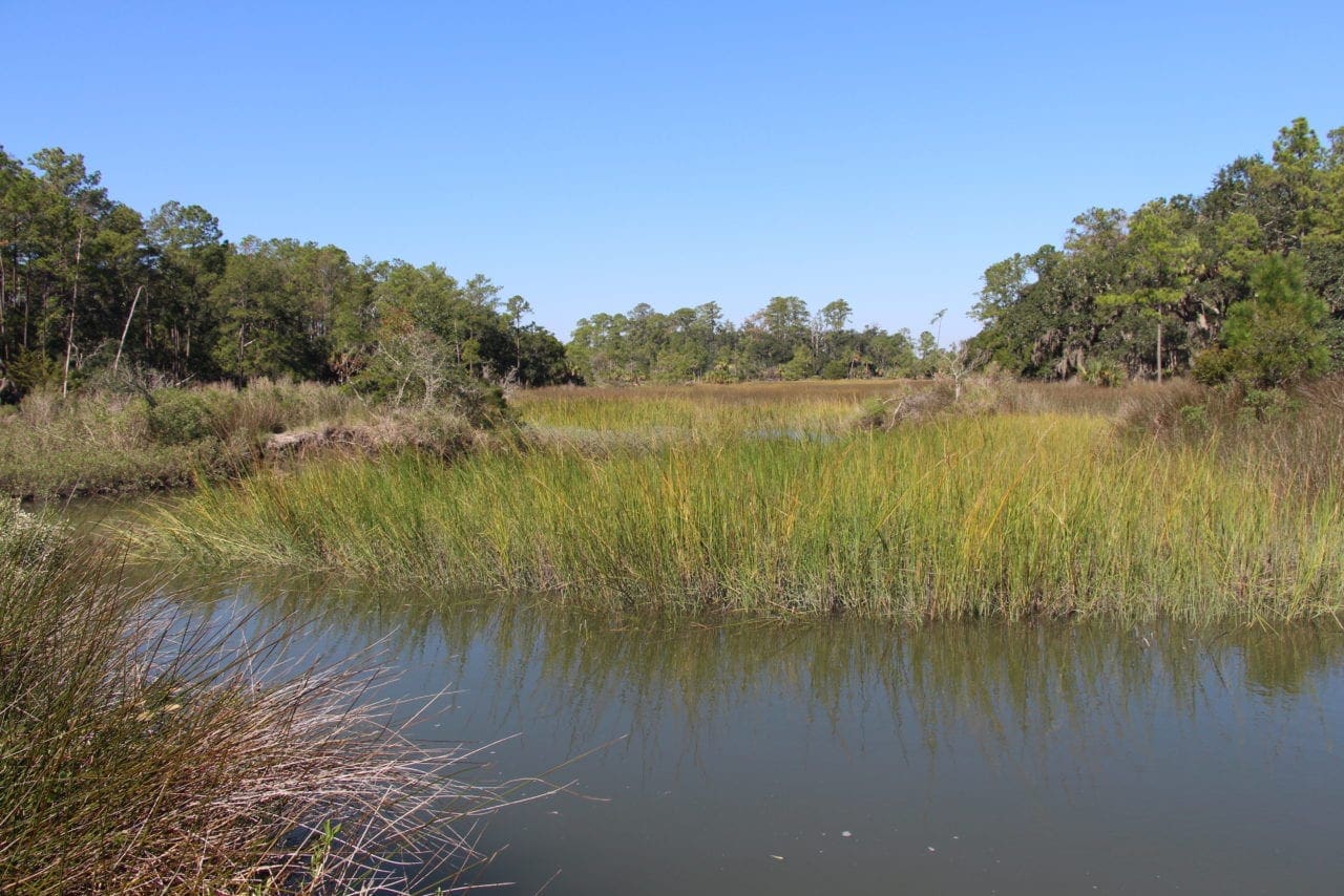 Skidaway Island State Park | Explore Trails, See Wildlife & Kayaking ...