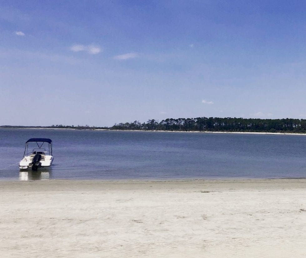 Top 10 Things to Do on Skidaway Island Skidaway Island GA