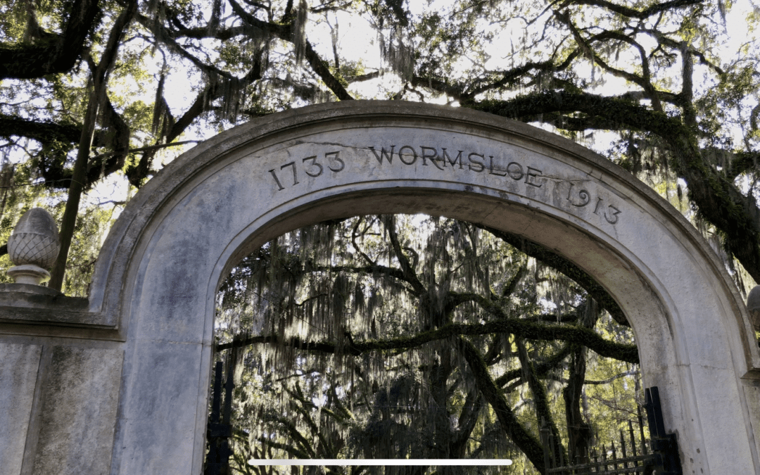 Wormsloe Tree Replacement Project