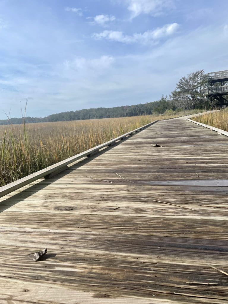 Trail Skidaway State Park